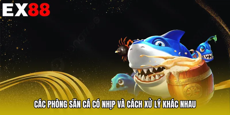 Các phòng săn cá có nhịp và cách xử lý khác nhau